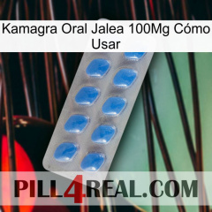 Kamagra Oral Jalea 100Mg Cómo Usar 22